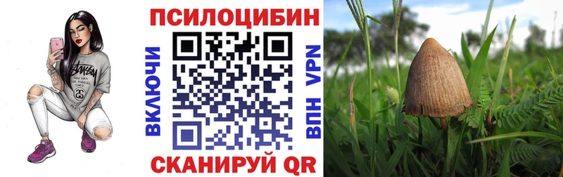 Галлюциногенные грибы ЛСД  где купить наркотик  Суоярви 